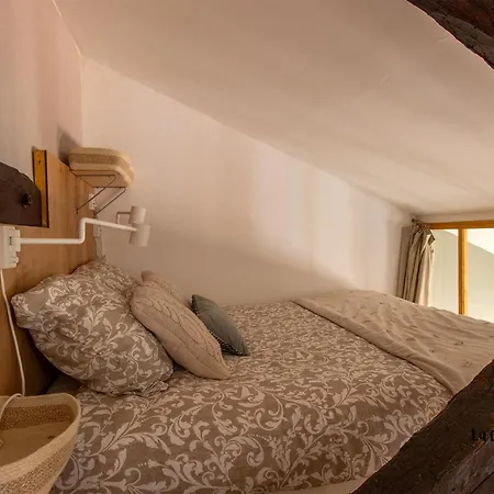 The Nest, Parking, Centre, Vue Sur La Cathedrale Albi