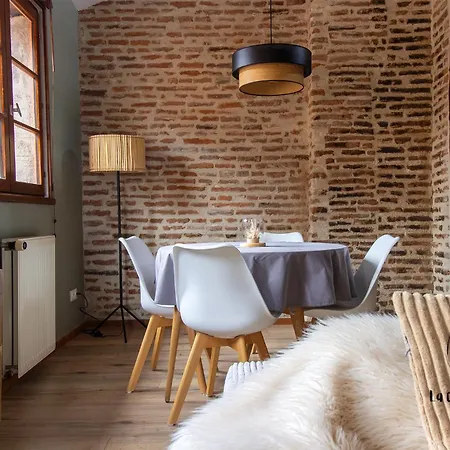 Appartement The Nest, Parking, Centre, Vue Sur La Cathedrale Albi