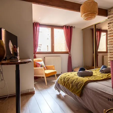 Appartement The Nest, Parking, Centre, Vue Sur La Cathedrale Albi