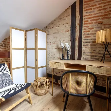 The Nest, Parking, Centre, Vue Sur La Cathedrale Albi