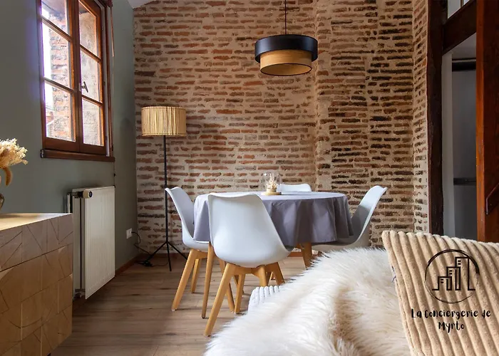 Appartement The Nest, Parking, Centre, Vue Sur La Cathédrale Albi