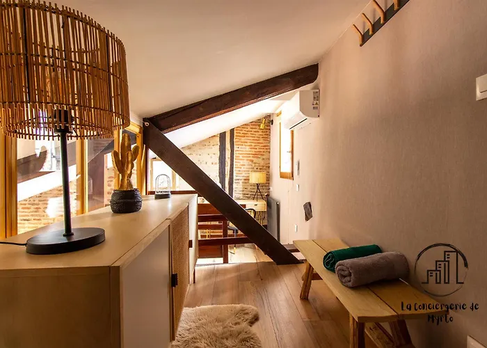 The Nest, Parking, Centre, Vue Sur La Cathédrale Appartement Albi