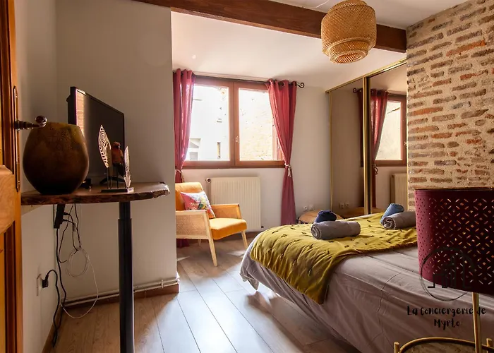 Appartement The Nest, Parking, Centre, Vue Sur La Cathédrale Albi