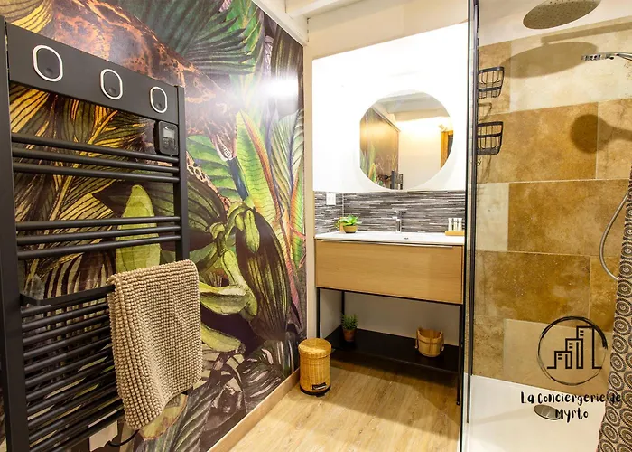 The Nest, Parking, Centre, Vue Sur La Cathédrale * Albi