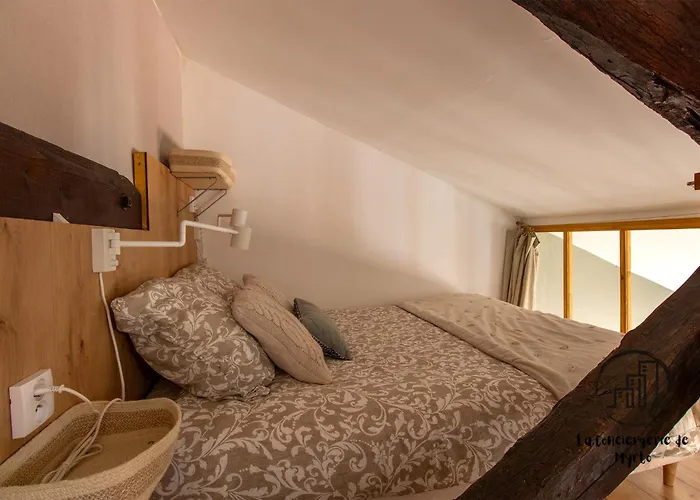 The Nest, Parking, Centre, Vue Sur La Cathédrale Albi