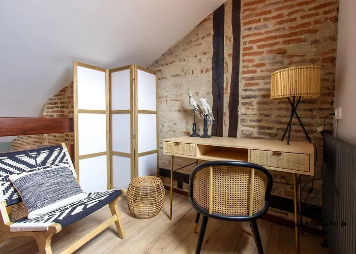 The Nest, Parking, Centre, Vue Sur La Cathédrale Albi