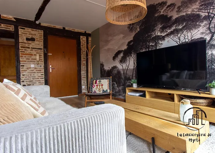 The Nest, Parking, Centre, Vue Sur La Cathédrale * Albi