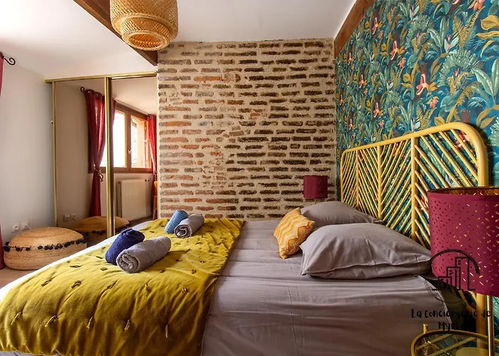 The Nest, Parking, Centre, Vue Sur La Cathédrale * Albi